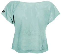 Tee-Shirt Arena W Gym S/S Crop Frozen